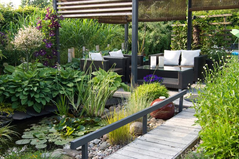 shaded pergola-covered outdoor seating area beside a garden pond